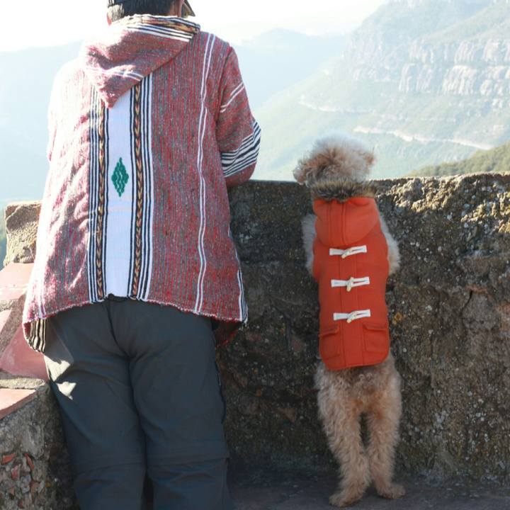 A4d58404 cc85 4c5d 85b3 a9d025e709bc 1546371485293