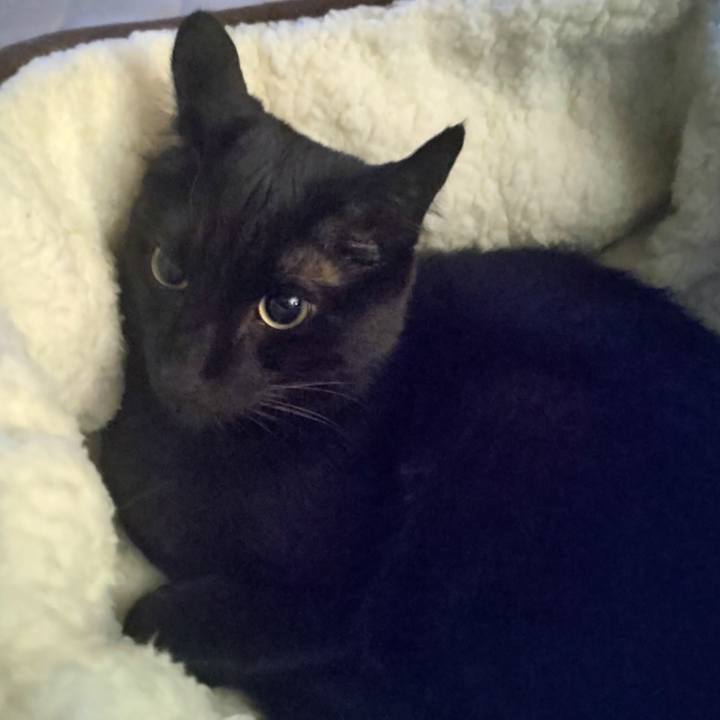 A4d5a6e2 7260 4e7a bad2 733e442513b4 1704464968423