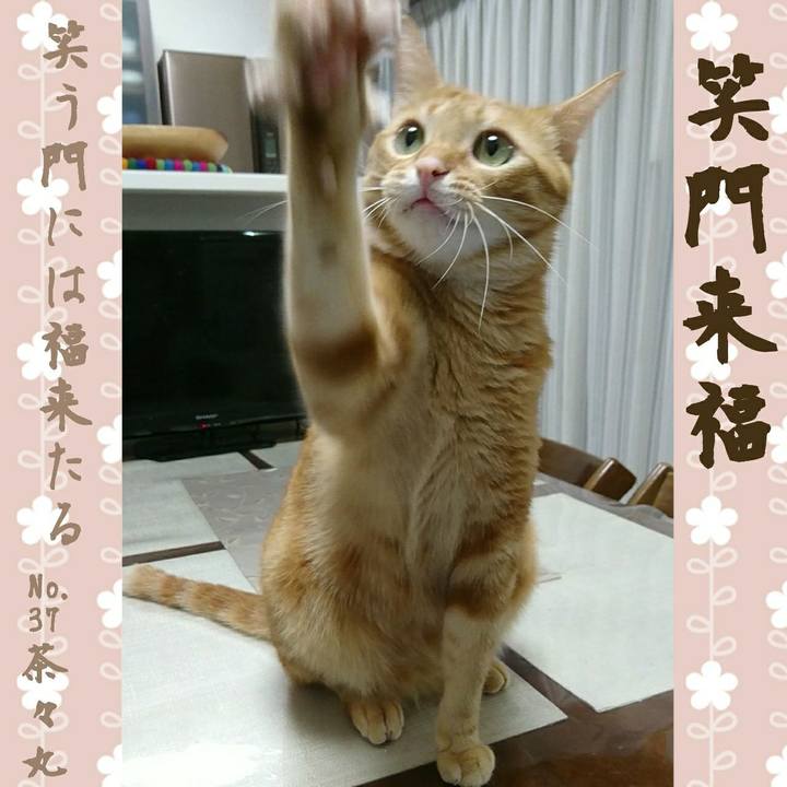 A4d5aa9c 3ab0 4532 8c19 c6f4be3dd652 1538222760278