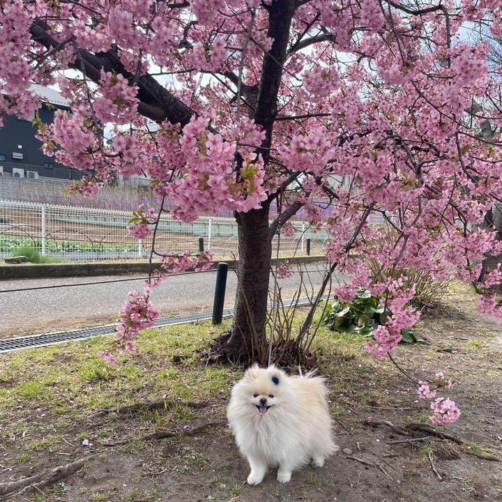 A4d5abd9 86c6 446d a6c8 91f14687a473 1678071985929