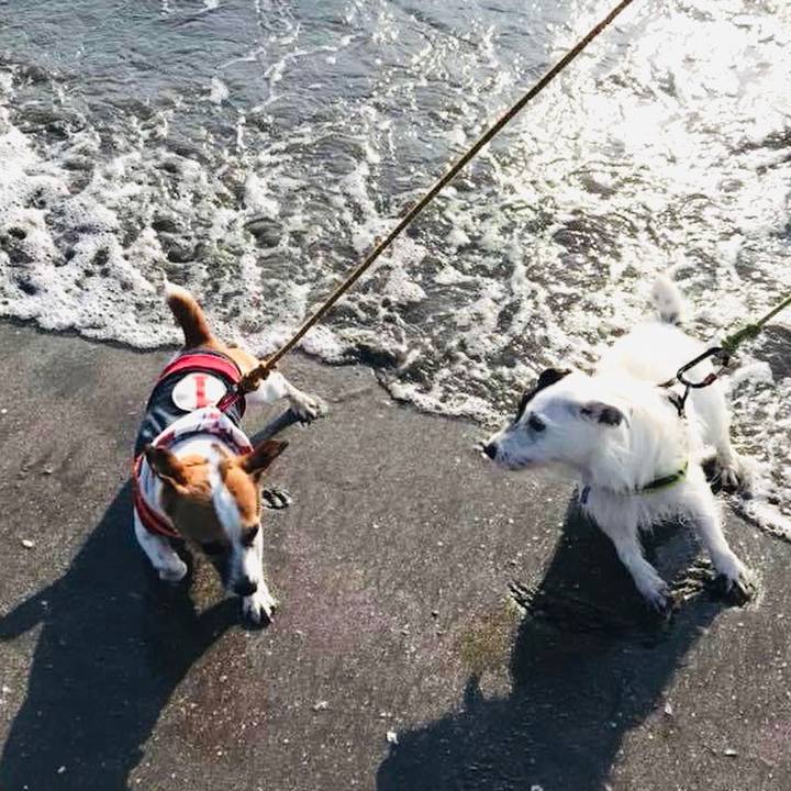 A4d5c1fc c786 4a5e 90ef 633b536d9c36 1651121235929