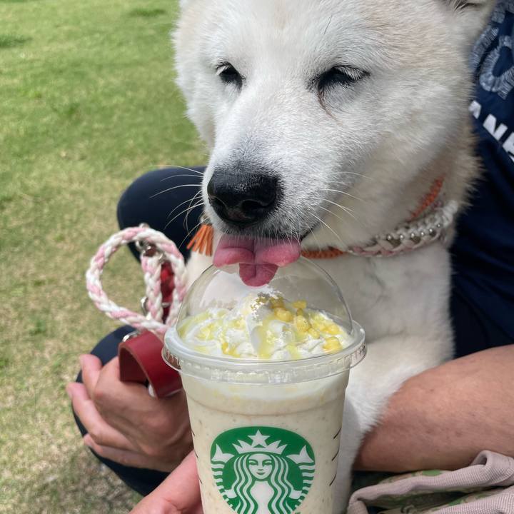 A4d5e089 83b5 4059 9edf d62b6d606a68 1687668048473