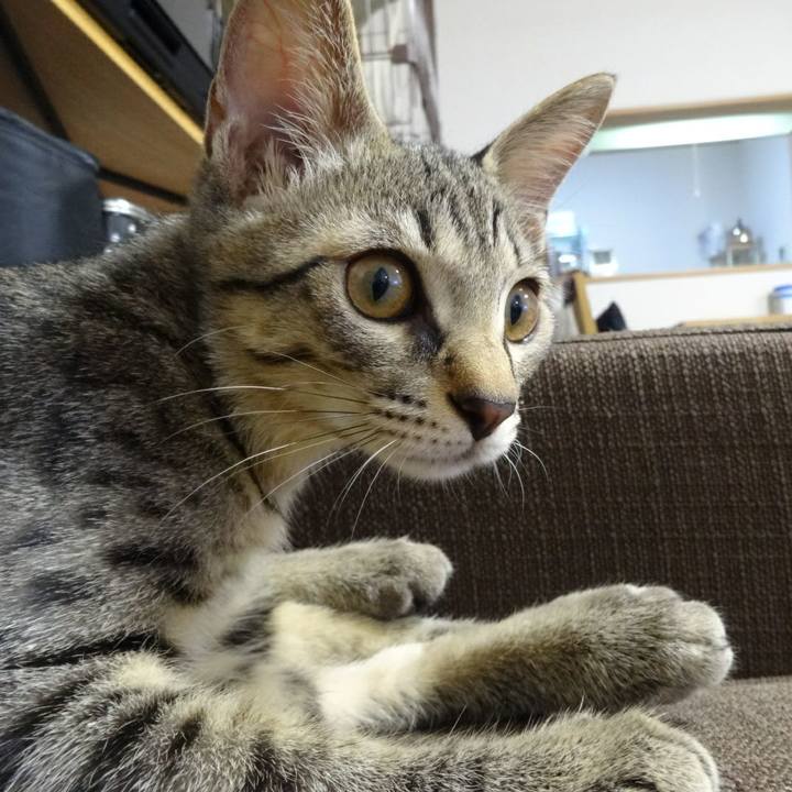 A4d61088 3547 42f9 9427 5dc22be387d2 1558048970926