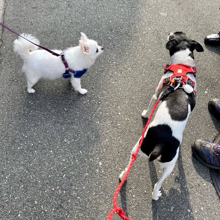 A4d62839 6a60 4a89 9eb4 381c51802fd0 1622849288050