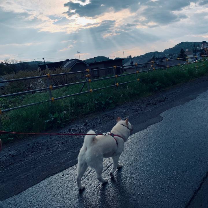 A4d64355 1933 4f3c b35f d940b7826ab6 1590356008920