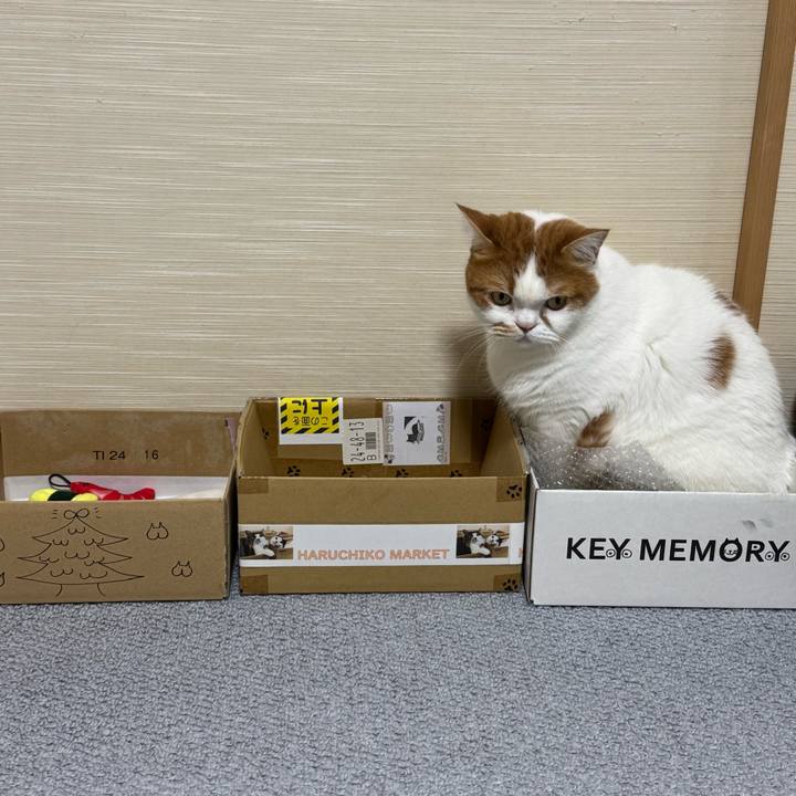 A4d6666f f3b9 43db b181 34efae152528 1767087800491