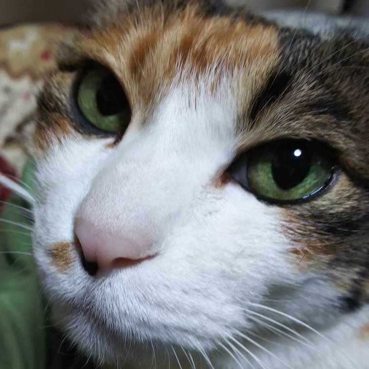 A4d66918 a362 4c5d 8bea 7d41c631a766 1588157849668