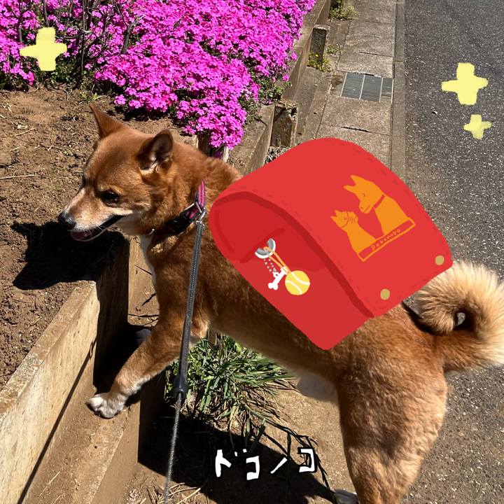 A4d6b0c8 5859 4634 b5e6 ae19b6c23972 1744681667830