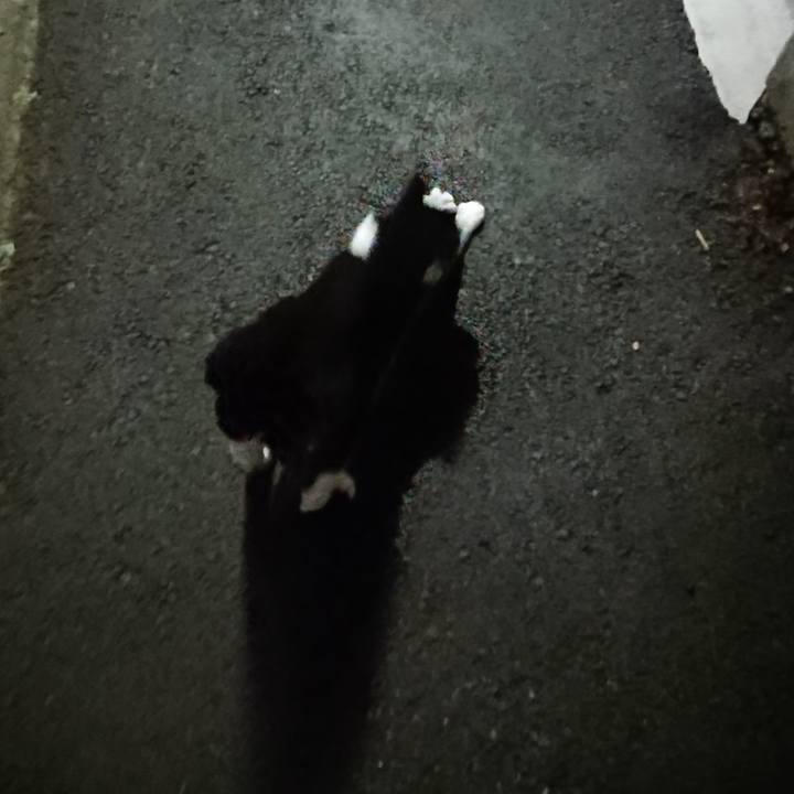 A4d6f45d 46a3 4cb7 8b9c 0fe320dedac4 1691408520147