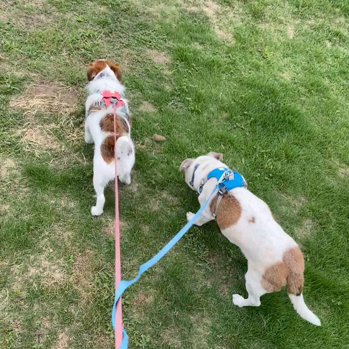 A4d6ff96 a3b7 4e51 be43 f2803014270b 1726917950812