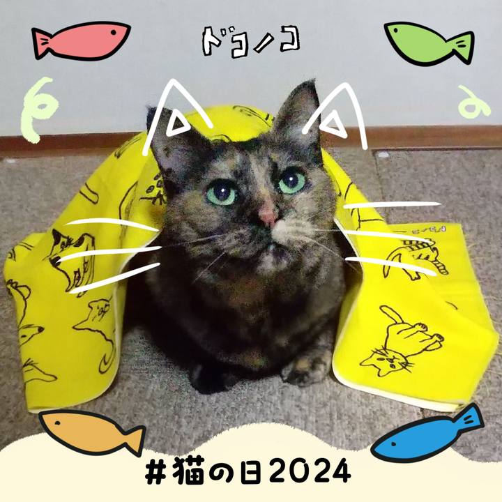 A4d73fff aedd 497b 918c b420b3e292ec 1708549467476