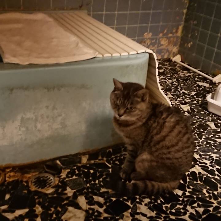 A4d7810c 3c60 4fc0 b3f7 26b3c0fd749c 1571907464110