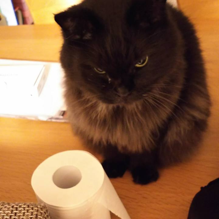 A4d7861a 953e 4441 8b95 c9dfc6691f80 1509277412073