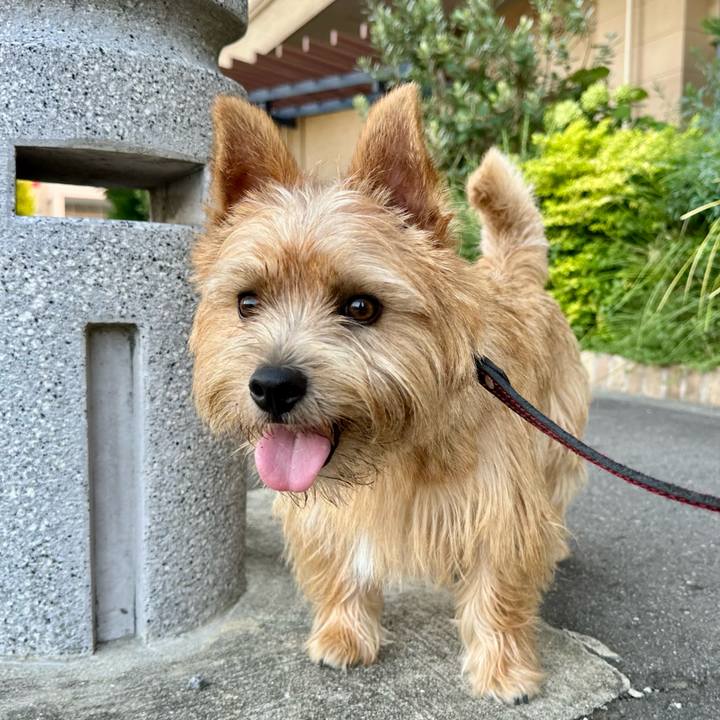 A4d7b866 16b1 4e21 a8c2 29f2b1e9a0a0 1755765729419