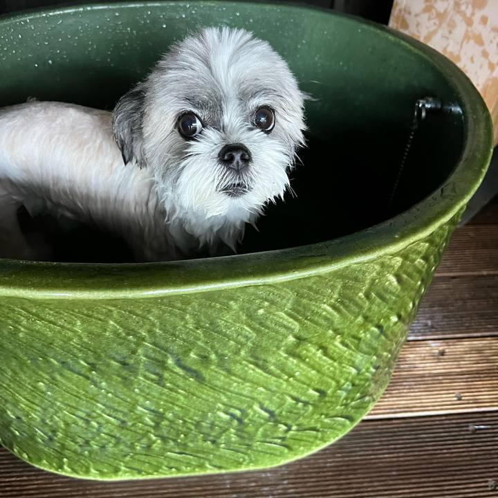 A4d7c8ff 8527 4561 83cc 2df9c8cb3d9e 1662385602478