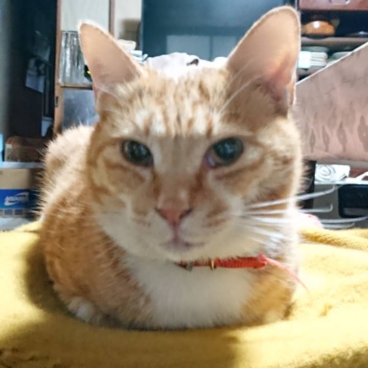 A4d7cefb 9f7d 4dcd 8523 37dae6aea225 1571101343145