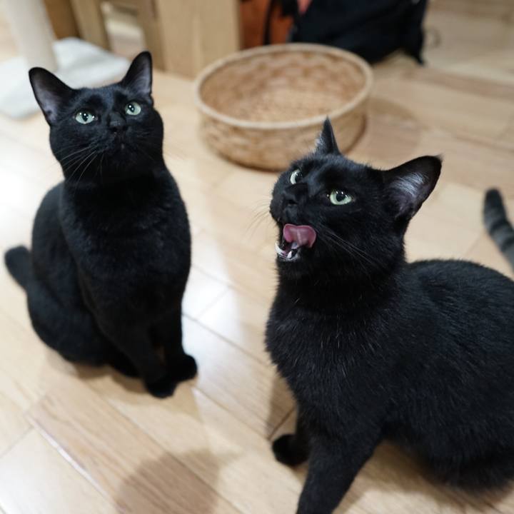 A4d7d24b 06de 40e4 9d67 86d2350d0cdb 1565912702998