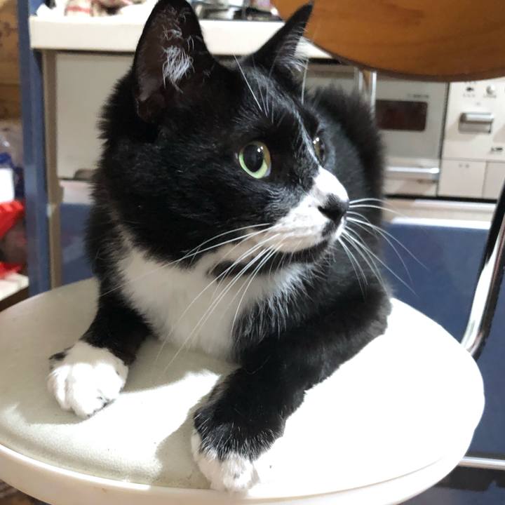 A4d80819 3adc 4be0 ada3 3aa9fa61d0e5 1658201564371