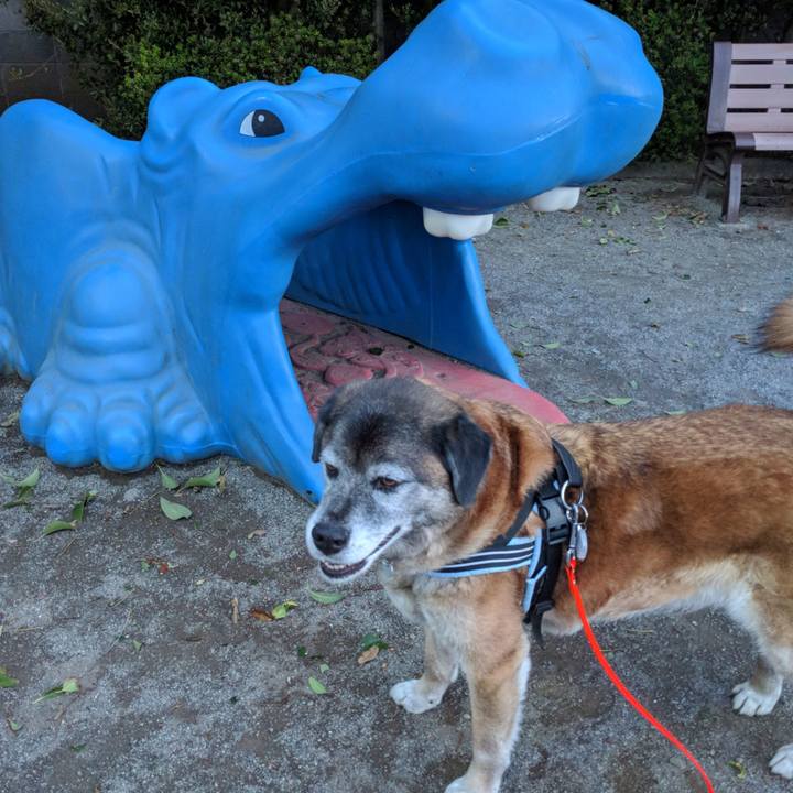 A4d828e7 1ea9 4e02 a45d 0268185953c4 1523012091943