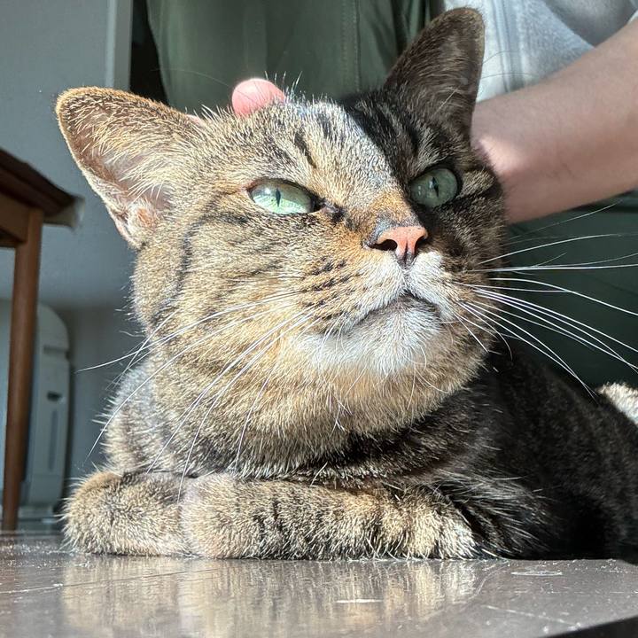 A4d83021 0d9b 49e1 8edf 8928e02a1c67 1772275782117