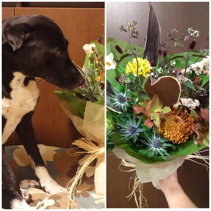 A4d84bed 821b 467a ba82 65d8dfc1a4b1 1599736166922