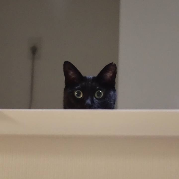 A4d84f7e 7b45 4312 bf98 6f8c28efce7a 1555424155303