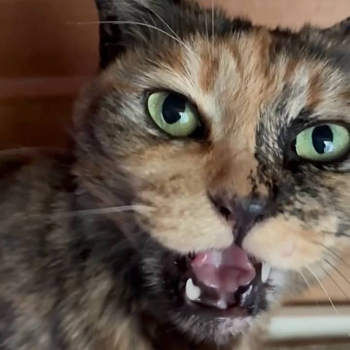 A4d88907 c963 4dfe b40a eec12b4af906 1746410656431