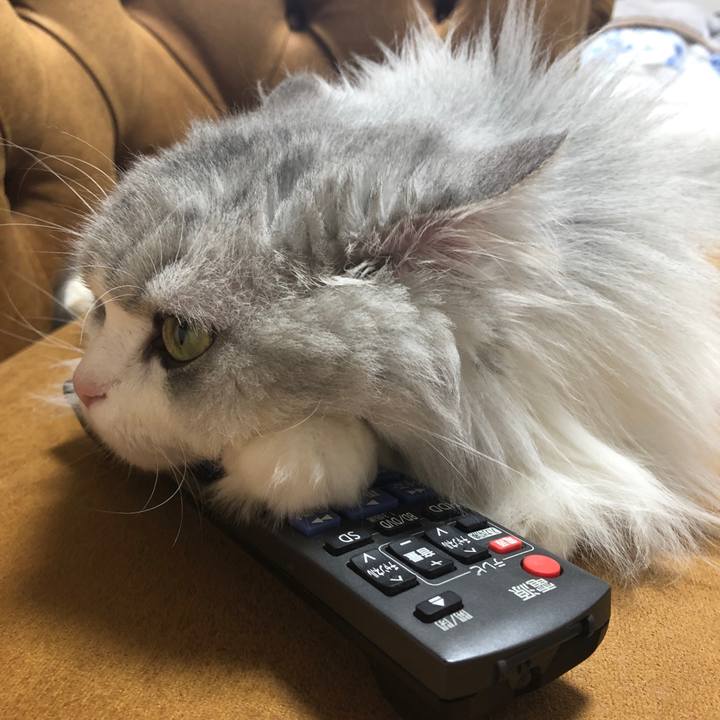 A4d8d545 bf4e 4fbb bbc0 959f21ccc461 1590457715776