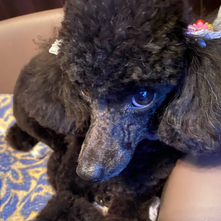 A4d8f659 8ef4 4b86 b467 3848cf890d4b 1594101783473