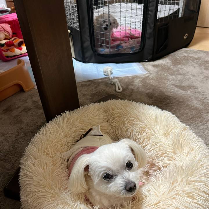 A4d8f6f8 b631 49d9 9059 225572226c3c 1704800528775