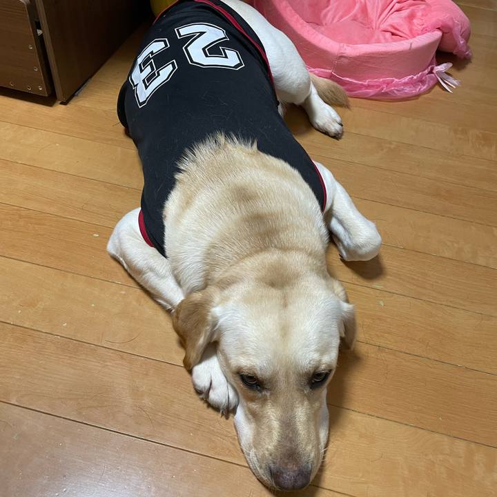 A4d8fabc e388 4c75 938a e4e019bc3eae 1662590953808