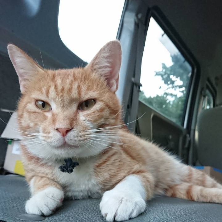 A4d99000 7888 4ad7 9972 4f512c922d08 1568280088224