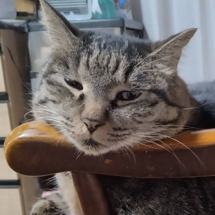 A4d9ba07 258e 4ddf b30c cc413af704e5 1703245707332