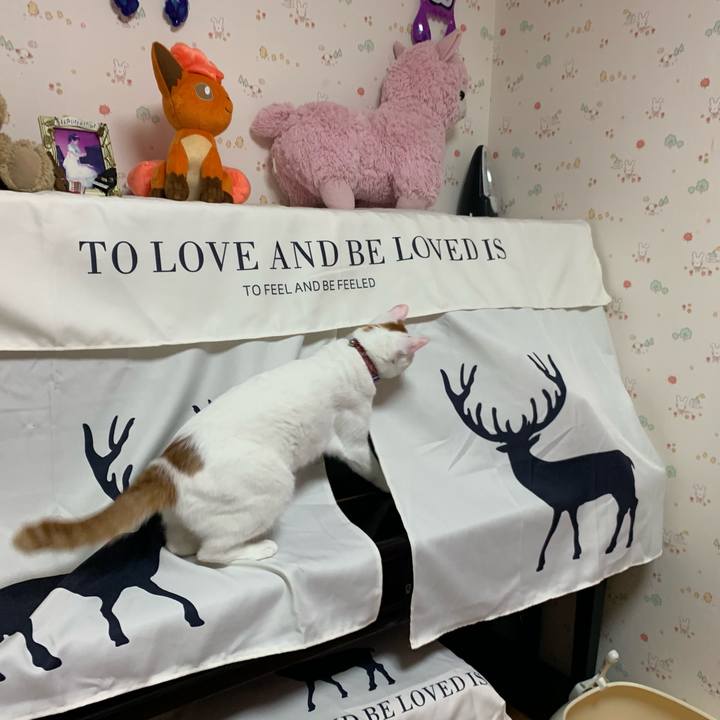 A4d9dc64 4a35 455f 9e11 1bc33b713e40 1555929550761