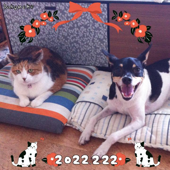 A4da5da3 7129 4c26 9ed1 59487a34cf59 1645522422860