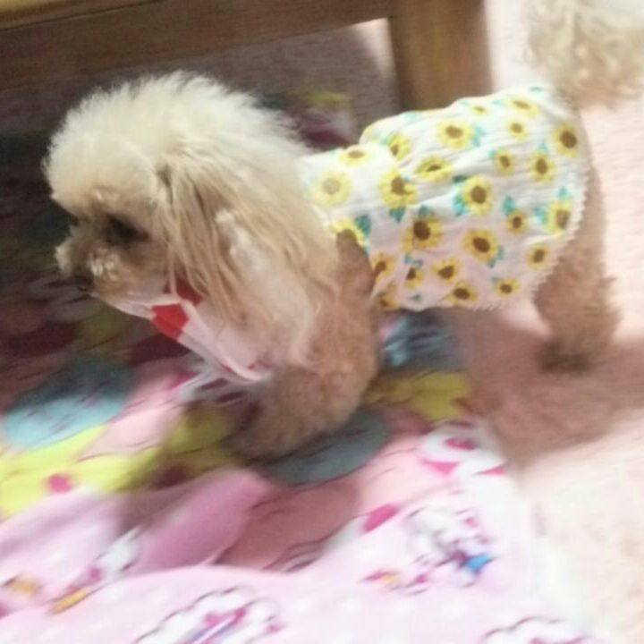 A4da5dde e4ad 4418 b1f2 3572ef94a0f3 1562245326302