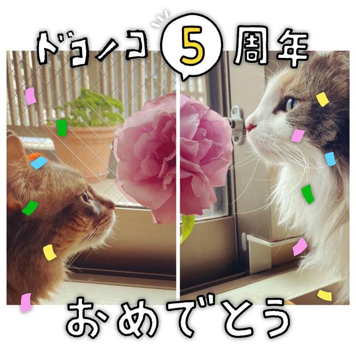 A4da72d0 dc59 496e a535 afcc9e2ffa28 1622953256946