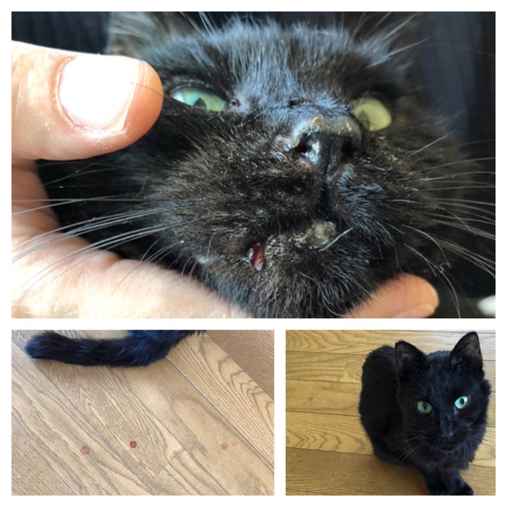 A4da89bf 17a9 4b6e adcf 961a473118b7 1557644290335