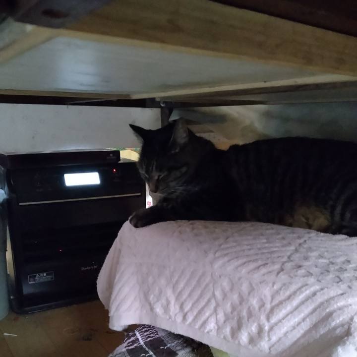 A4da9b8e c4d1 4fca b143 e8cd256bc649 1665006267197