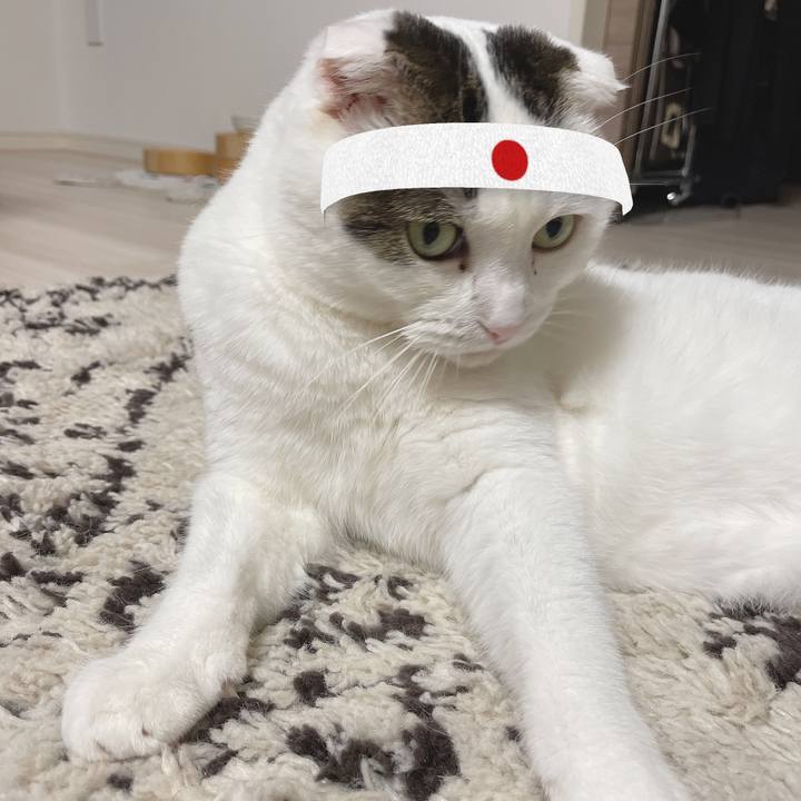 A4dacdde 6f2a 4cb0 8e9f 676a99fa881b 1628150559698