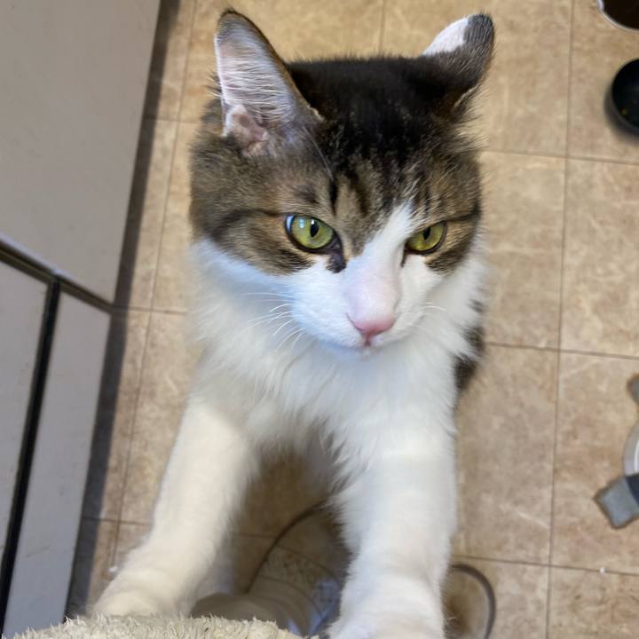 A4db0177 7ed7 4cb8 b7af 40cdb3229670 1737850454258