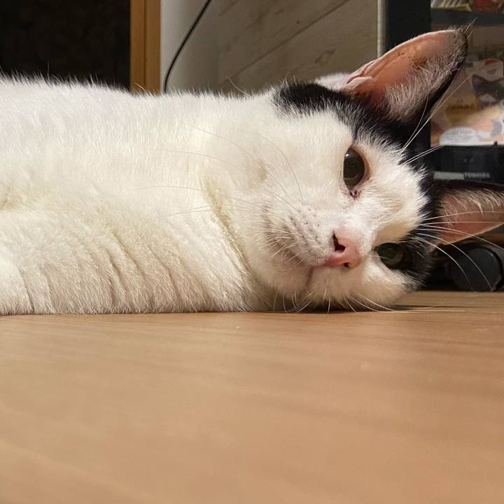 A4db6d3c f959 41c0 a9cd d94ada4b4e03 1601727039157