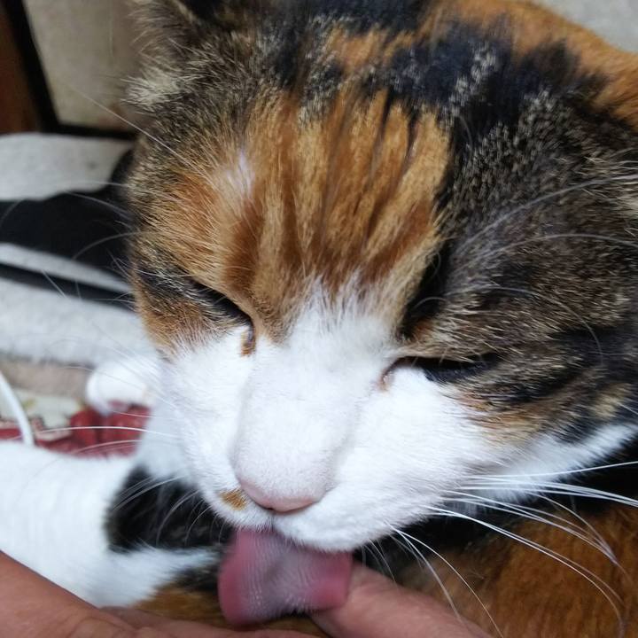 A4db740f bc21 4fe3 bc64 03764a1ac69e 1552096432701