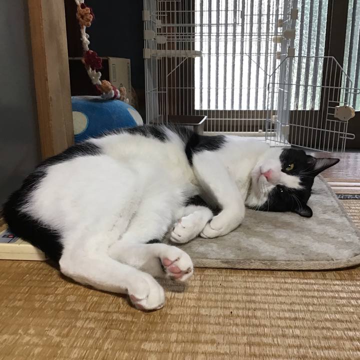 A4db7704 0c3e 4ab9 81ee 29041ed20462 1654492079143