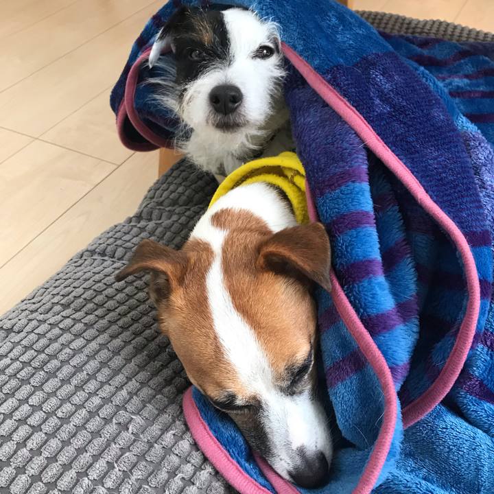 A4db79b5 c5c3 4843 89d2 a98fa92e5a72 1544590242905