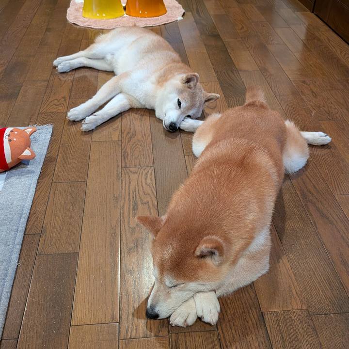 A4db887f e9e0 4921 aeb8 405e6041c40f 1754476851385