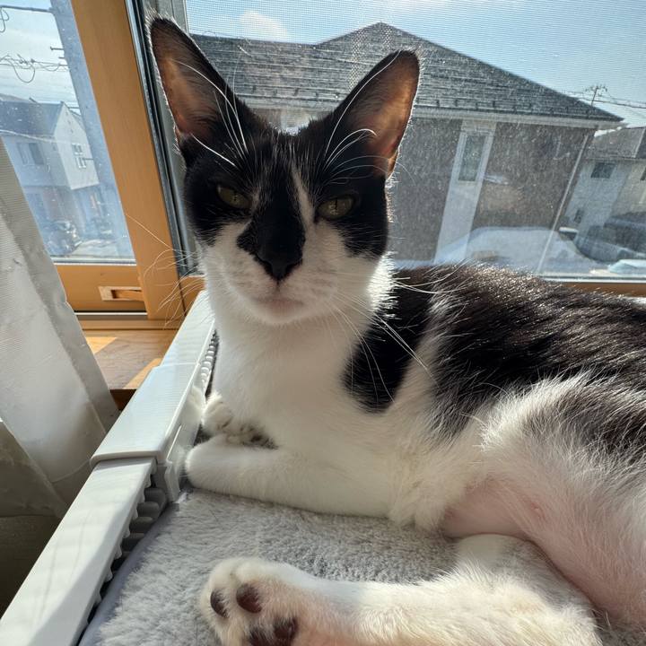 A4dbb69c d1c6 4dba 9690 1f8350de7c3c 1774658751771