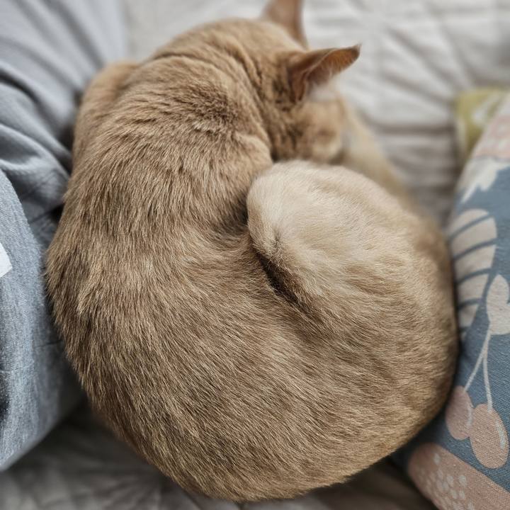 A4dbd1fc 9f4b 4651 83a7 9468f2f07cd4 1700706836375