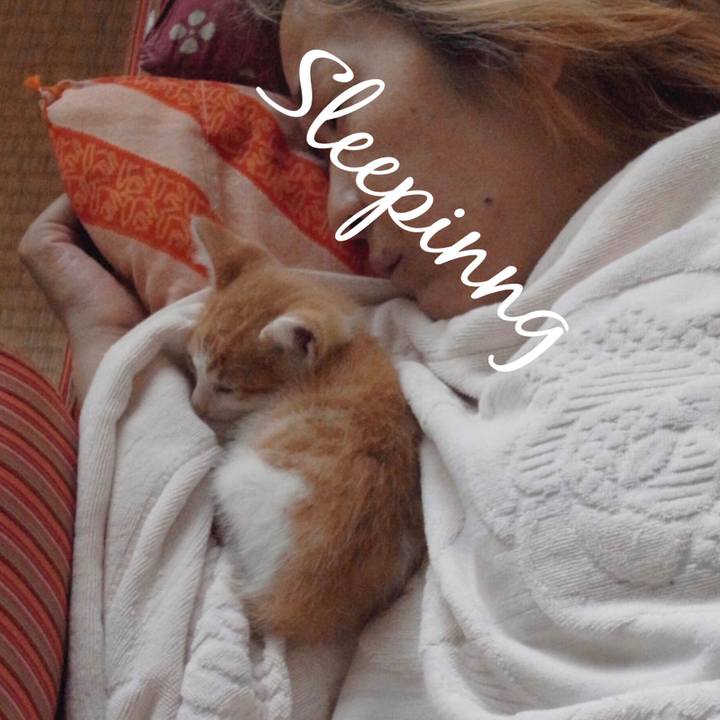 A4dbeecb 1676 49f1 a8c6 7bfe75a69f8c 1516282761802