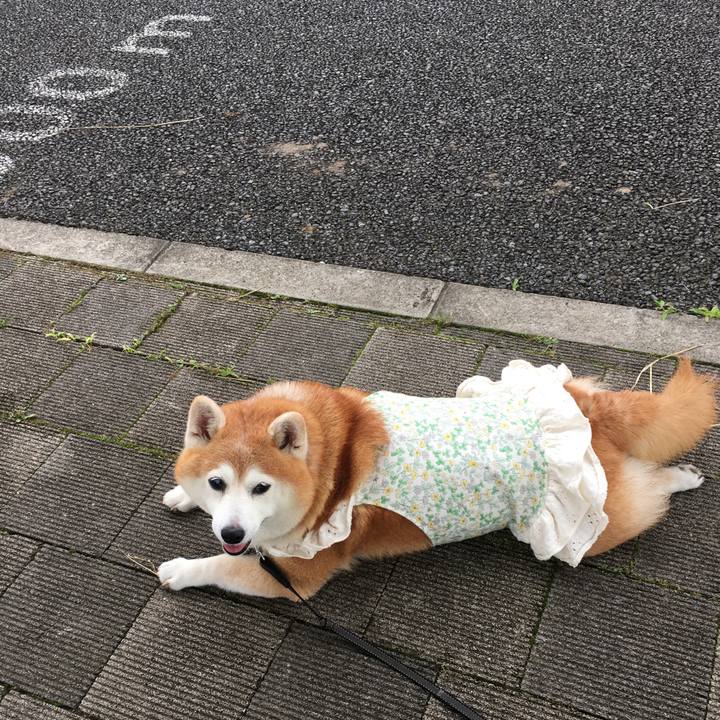 A4dcacbd 8ae4 4306 b38b c5affbe97393 1564633570779